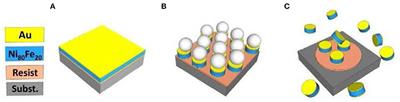 Au-Coated Ni80Fe20 Submicron Magnetic Nanodisks: Interactions With Tumor Cells